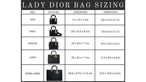 dior size guide
